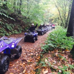 Quad Biking Norchard, Pembrokeshire