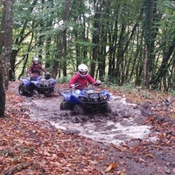 Quad Biking Bere Regis, Dorset